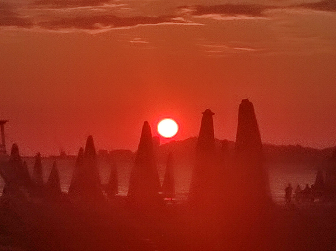 Hotel Green Park主图