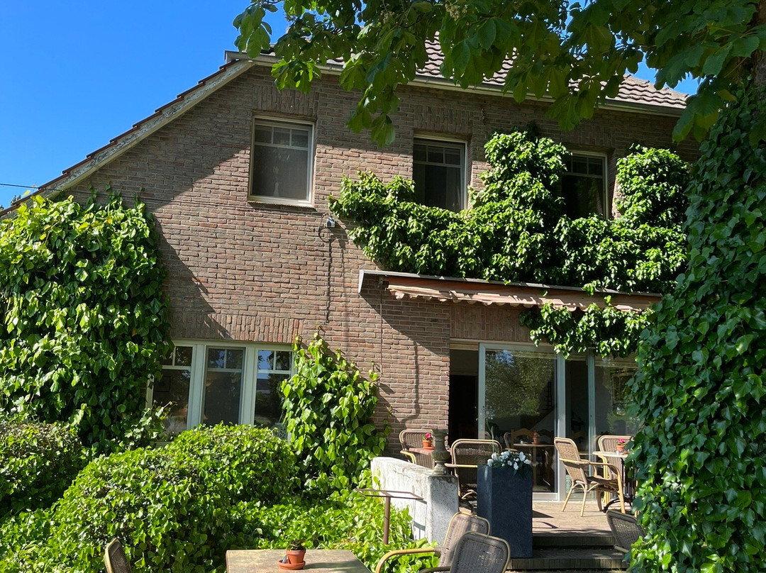 Gästehaus Drostenhof主图