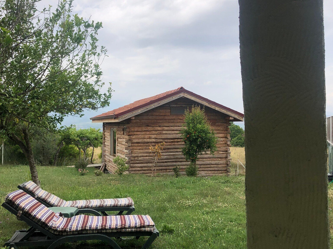 Yesil Kelebek Ev主图