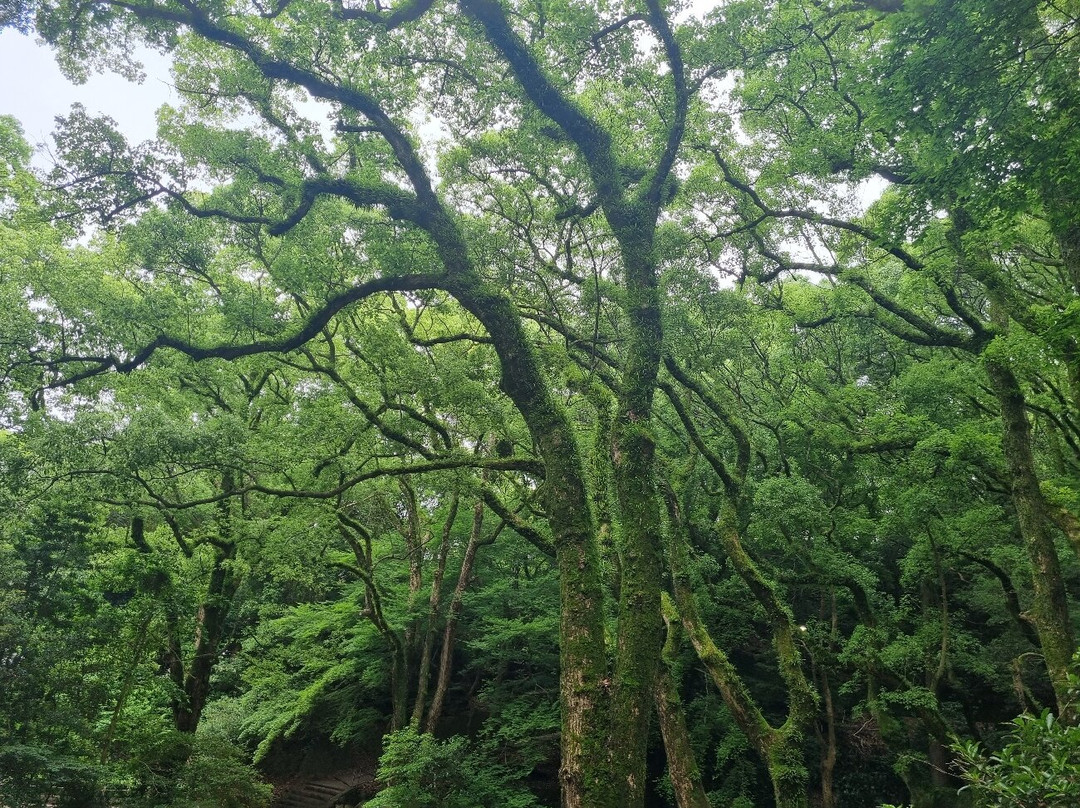 布引瀑布-神户市必去景点