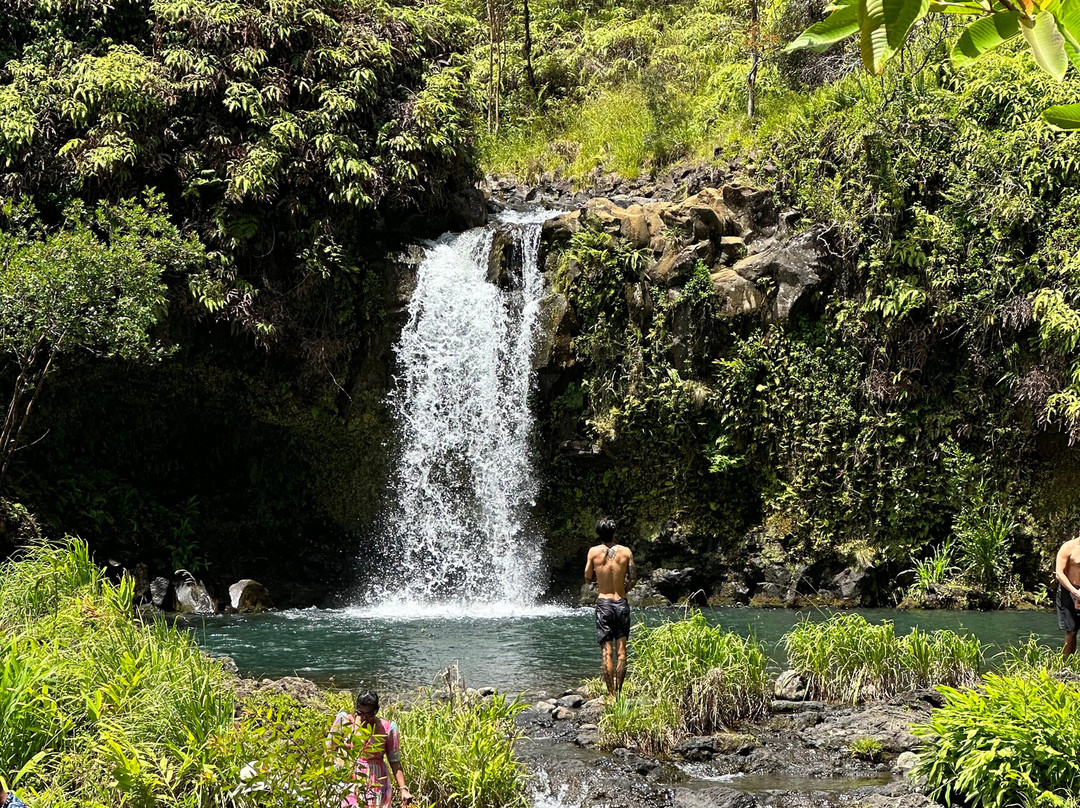 Polynesian Adventure景点图片