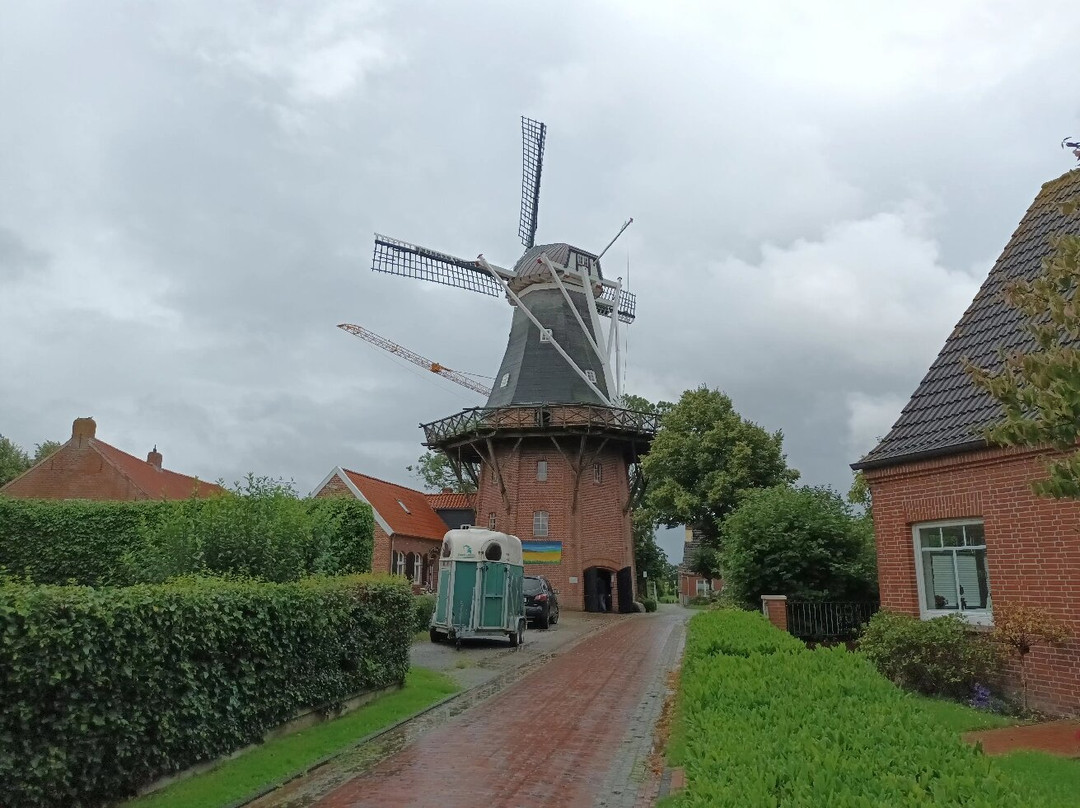 Stellingmolen Rysum (1895)-Rysum必去景点