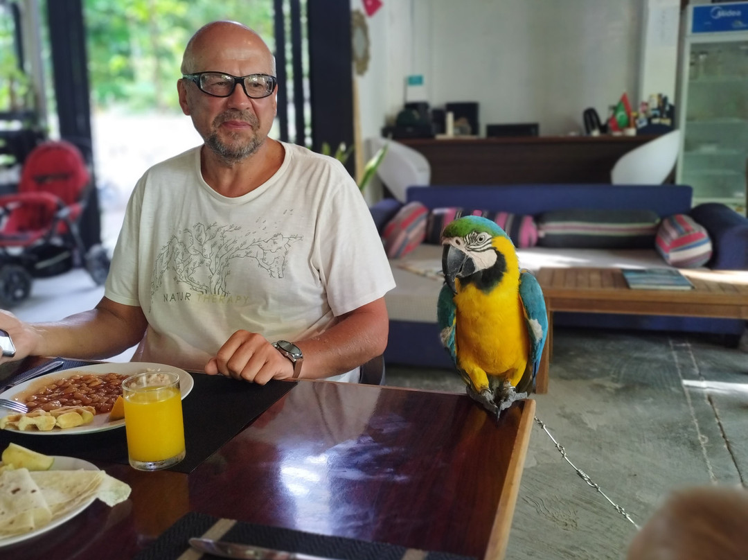 Kingsway Thoddoo主图