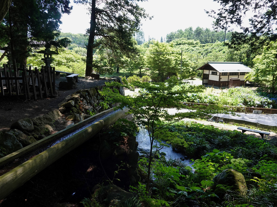 Otaki Spring-北斗市必去景点