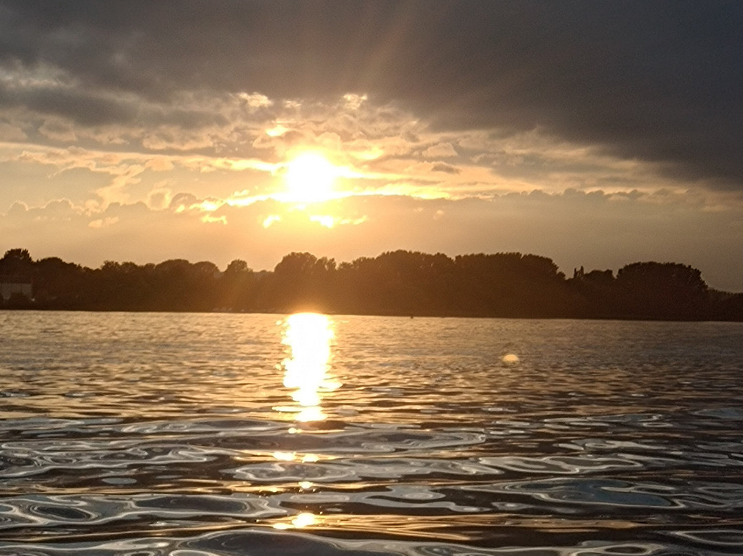 BoatNow Rostock Elektroboote景点图片