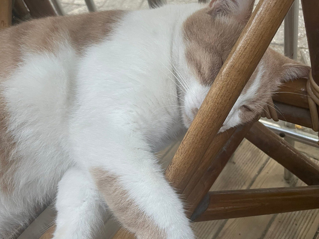 Durak Hotel & Restaurant主图