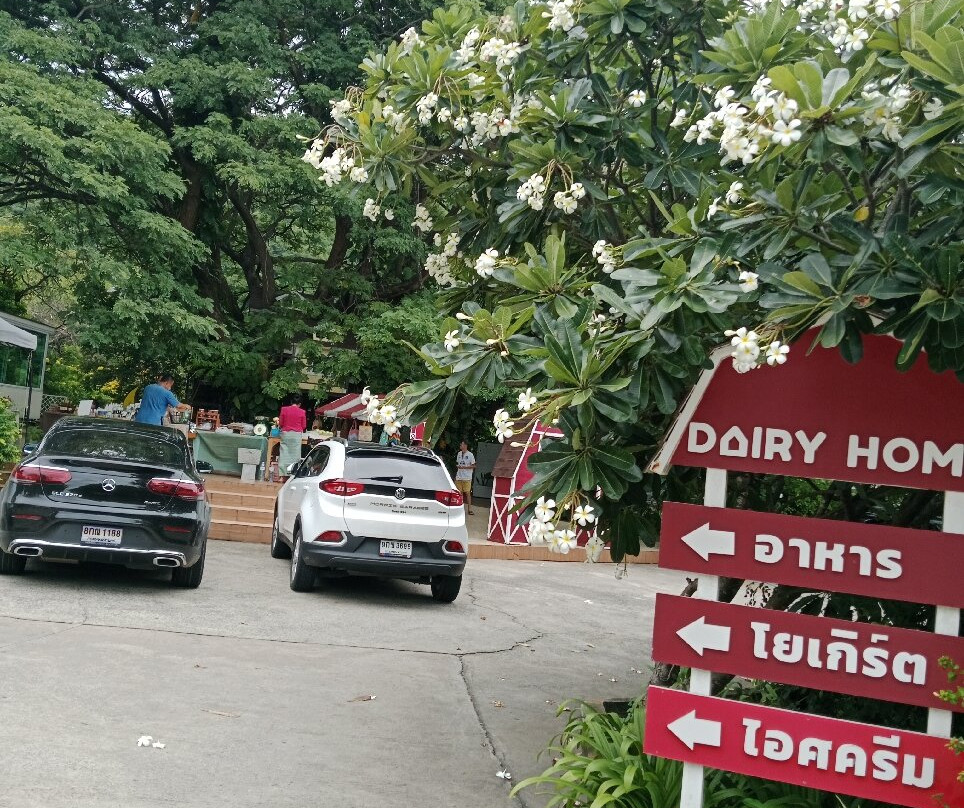 Dairy Home Farm Shop-北冲县必去景点