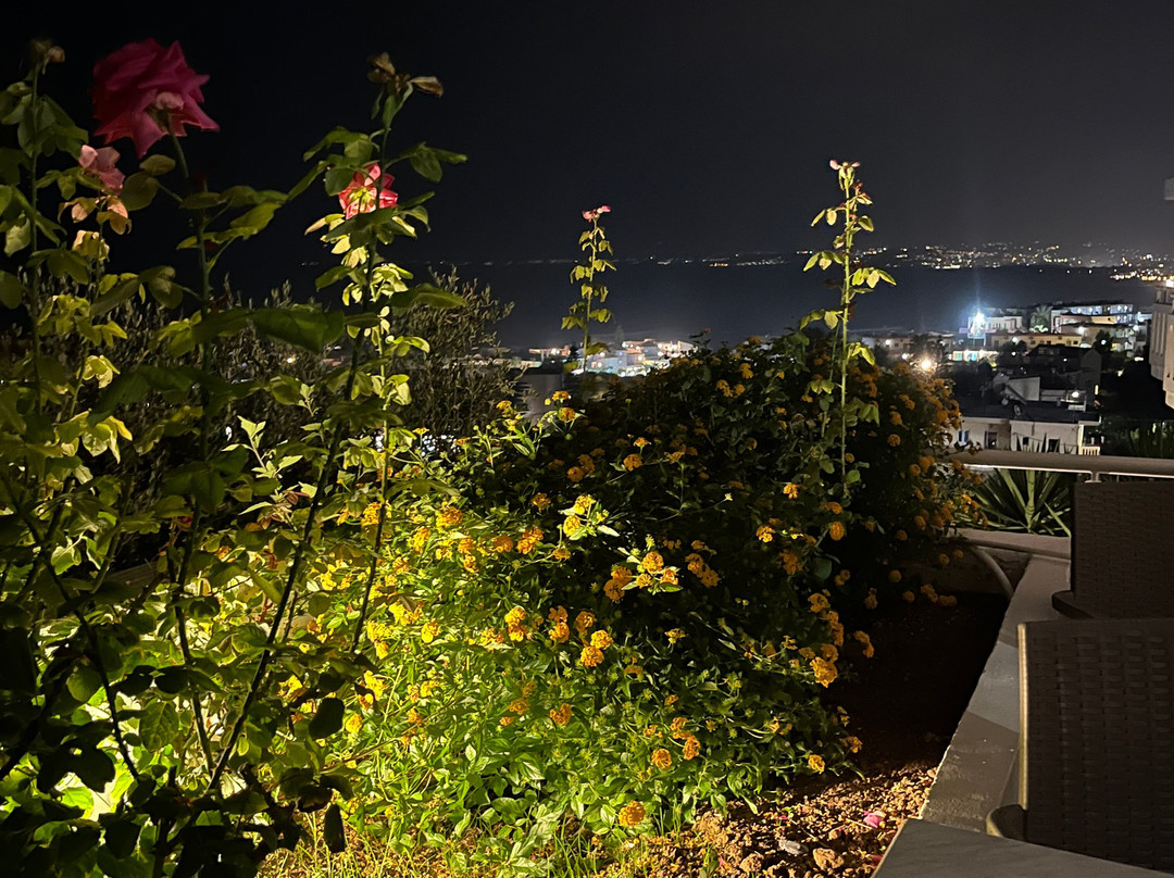 Folia Apartments Chania主图