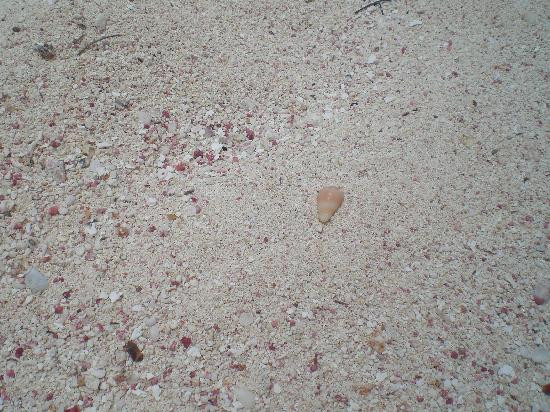 Loblolly Bay-Anegada必去景点