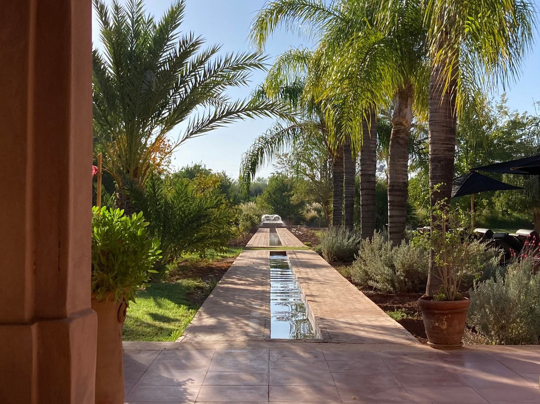 Maidan El Arsa主图