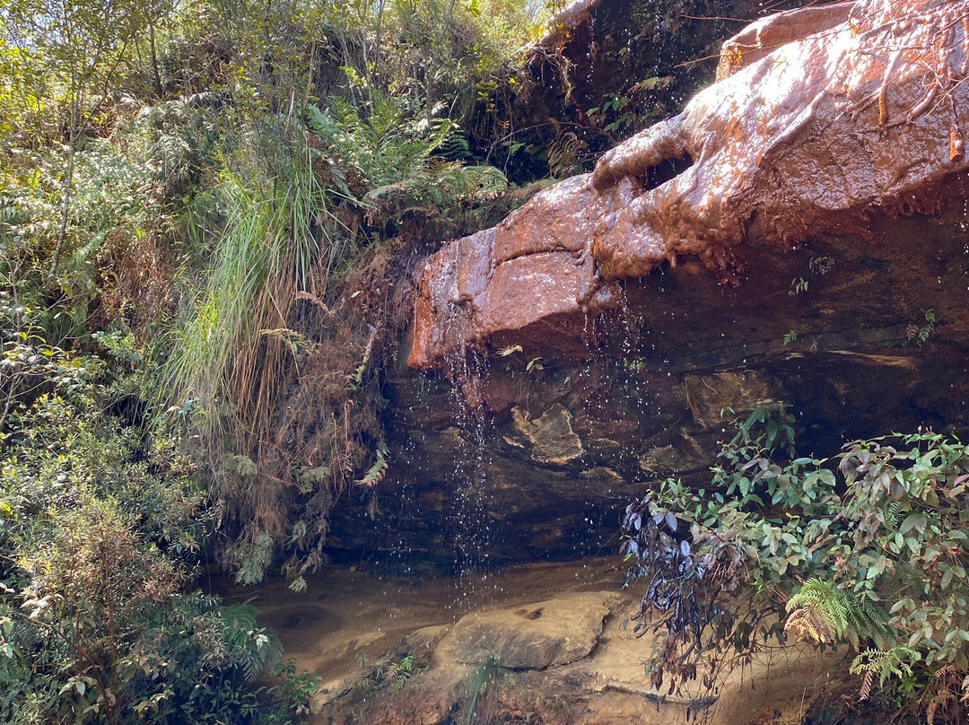 North Lawson Park景点图片