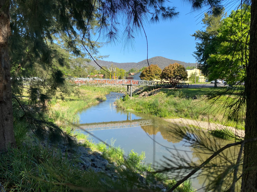 Golden Gully Park景点图片