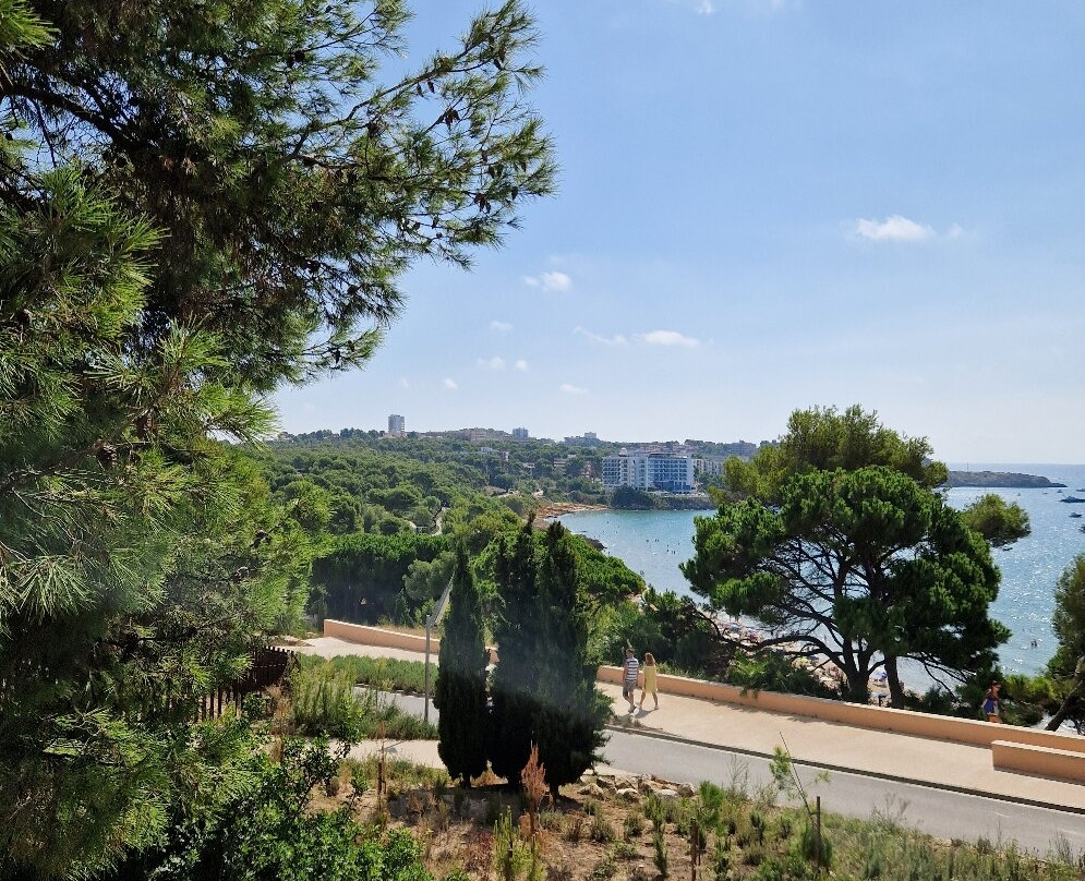 Llarga Beach-萨洛必去景点