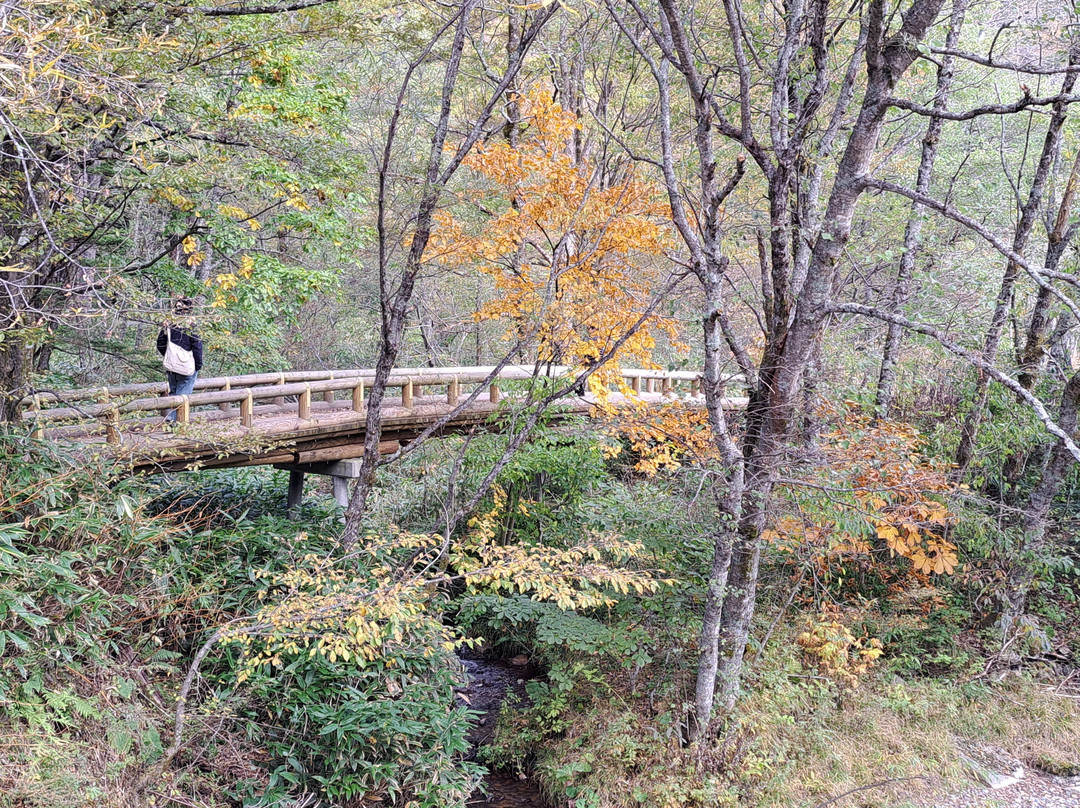 Tashiro Bridge景点图片