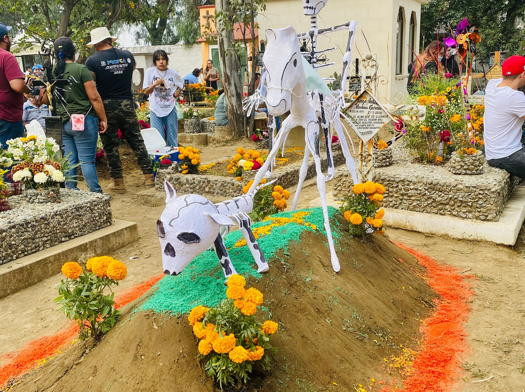 Pata De Perro Mx-墨西哥城必去景点