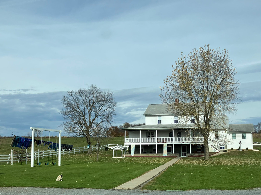 Simple Life Tours - Amish Tours-New Wilmington必去景点