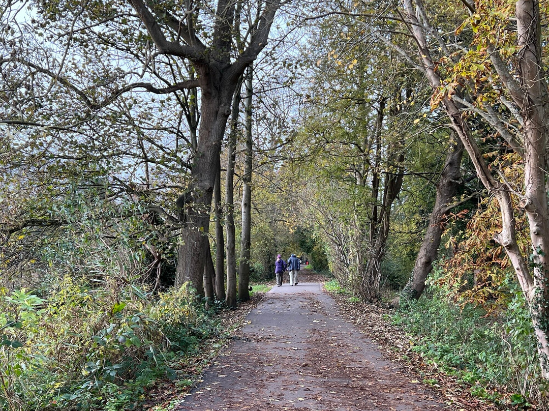 Rickmansworth Aquadrome景点图片