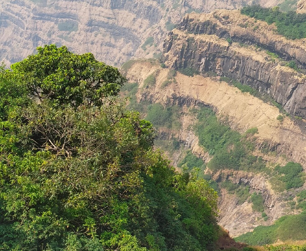 Savitri Point景点图片