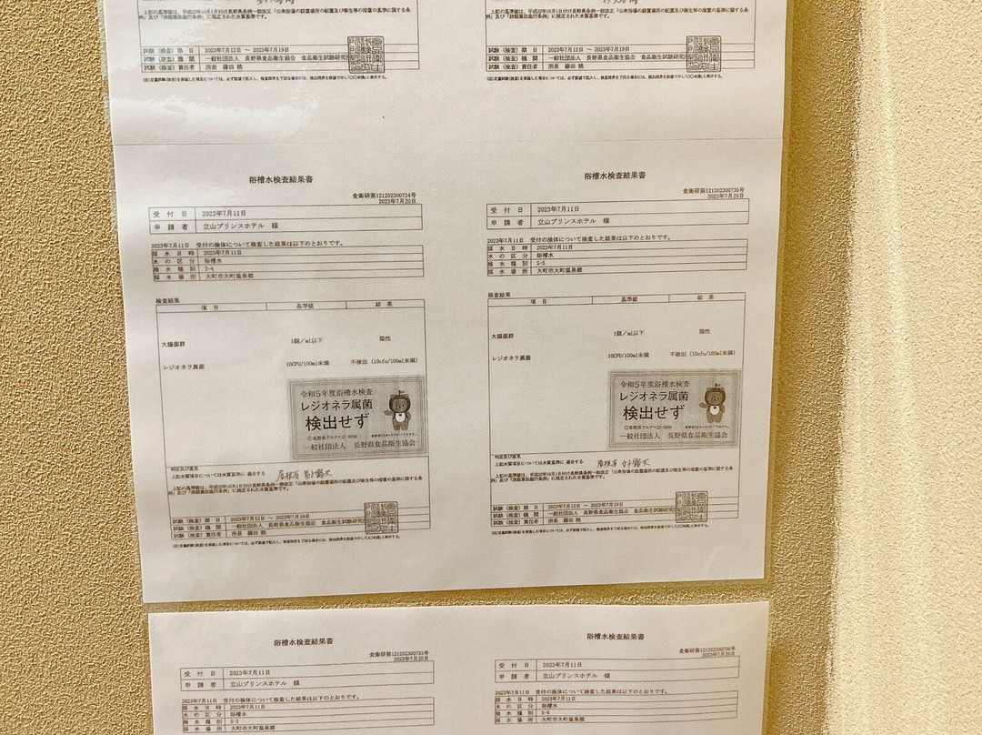Tateyama Prince Hotel主图