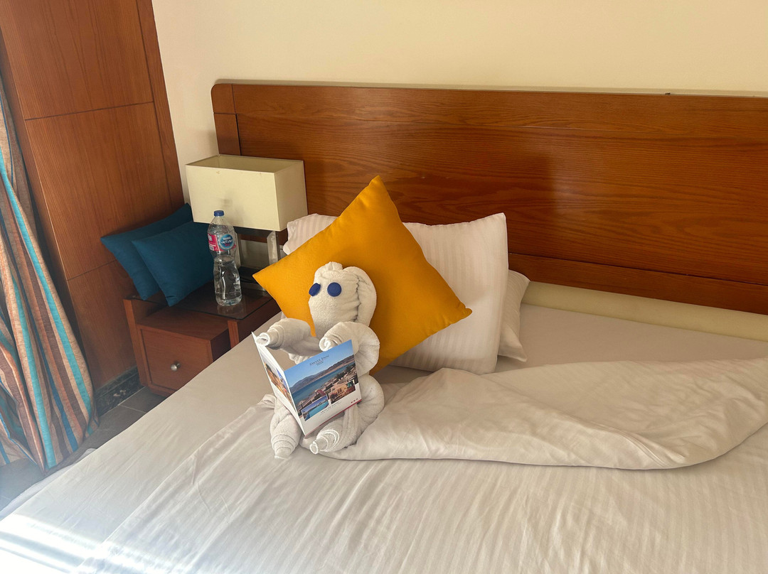 Swiss Inn Resort Dahab主图