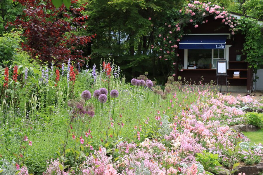La Casta Natural Healing Garden-大町市必去景点