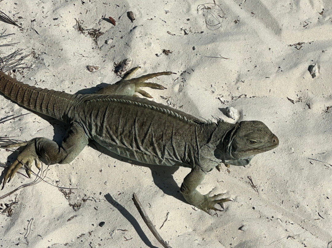Lady Grace Catamaran-格雷斯湾必去景点