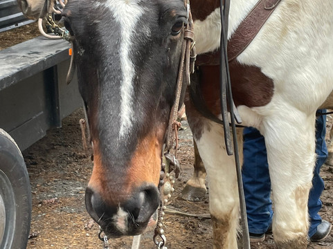 Blowing Rock Trail Rides-布洛英罗克必去景点
