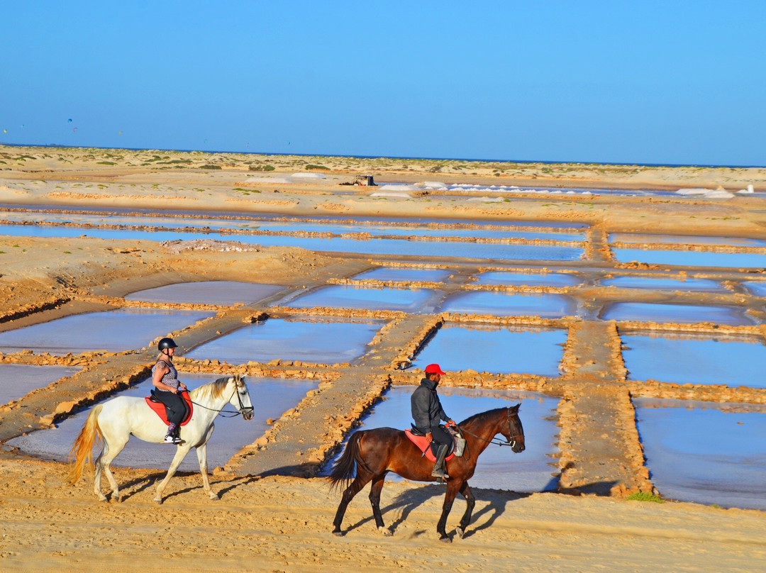Santa Marilha Horse Excursions景点图片