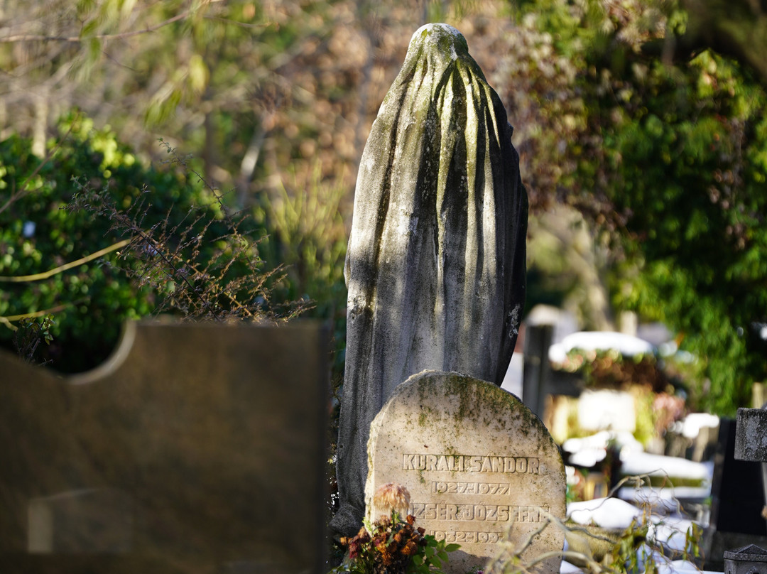 Farkasreti Cemetery景点图片