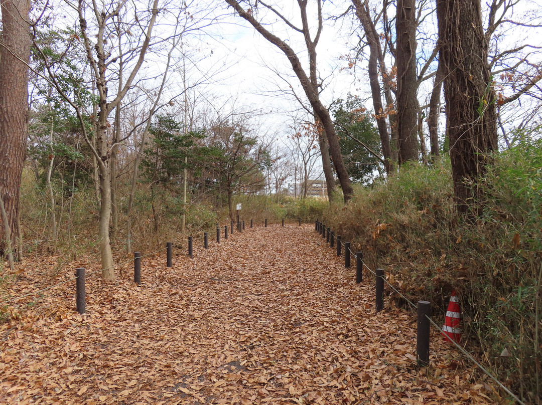 Kombukuro Pond Natural History Park-柏市必去景点