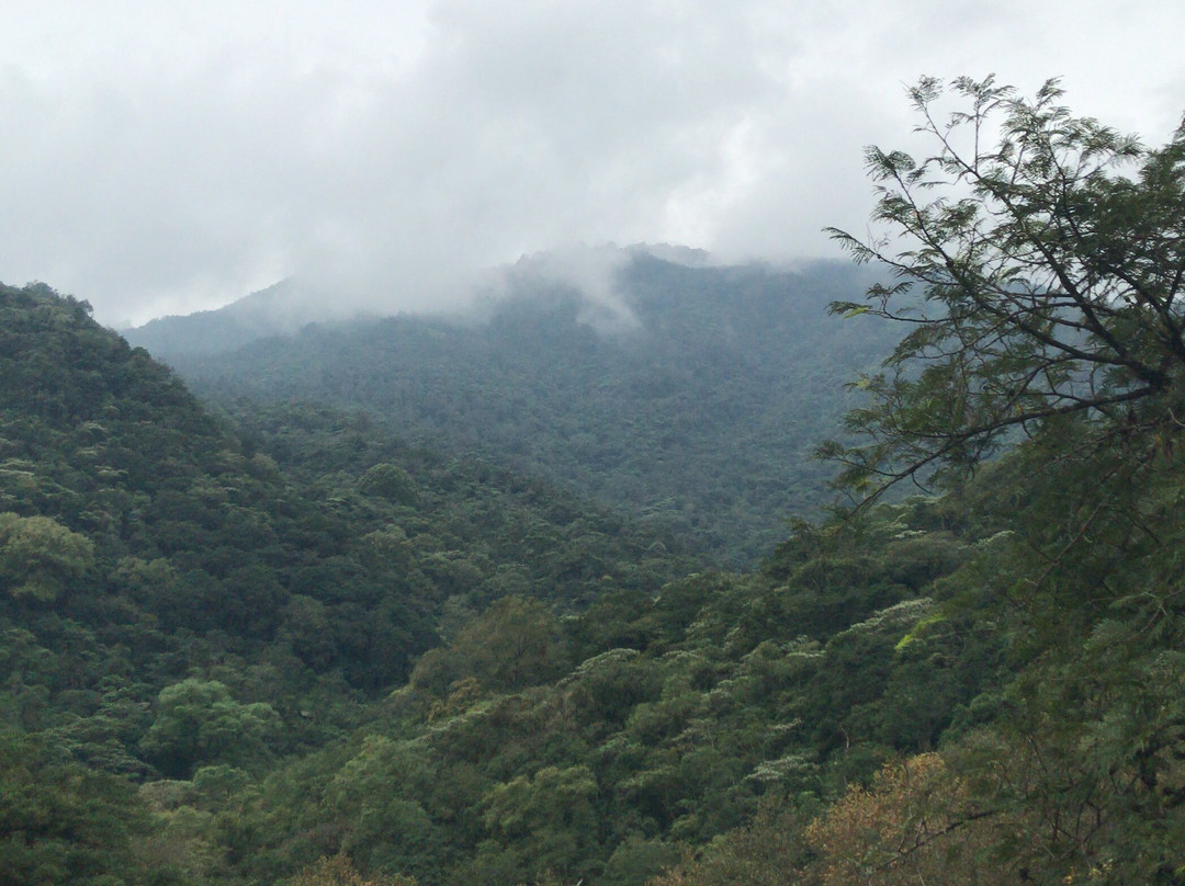 Hotel San Carlos主图