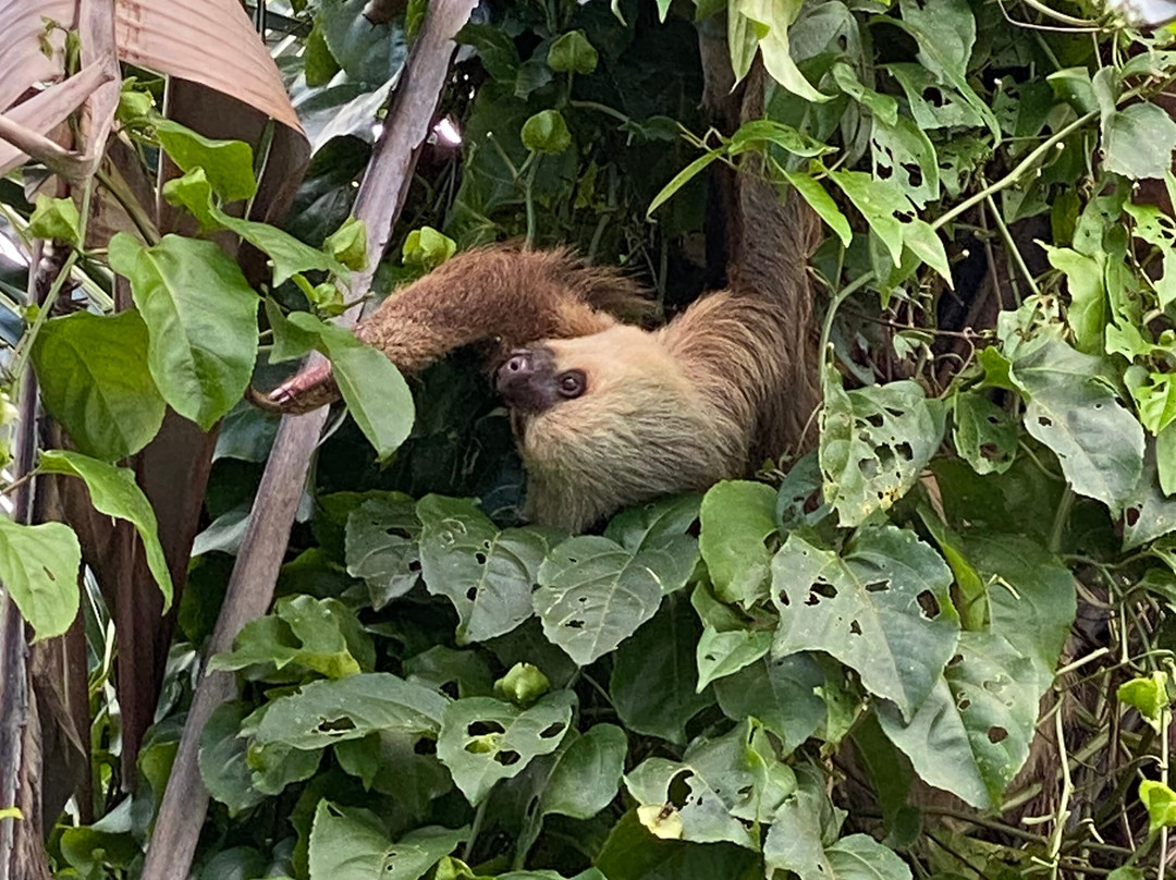 Turtle Beach House主图