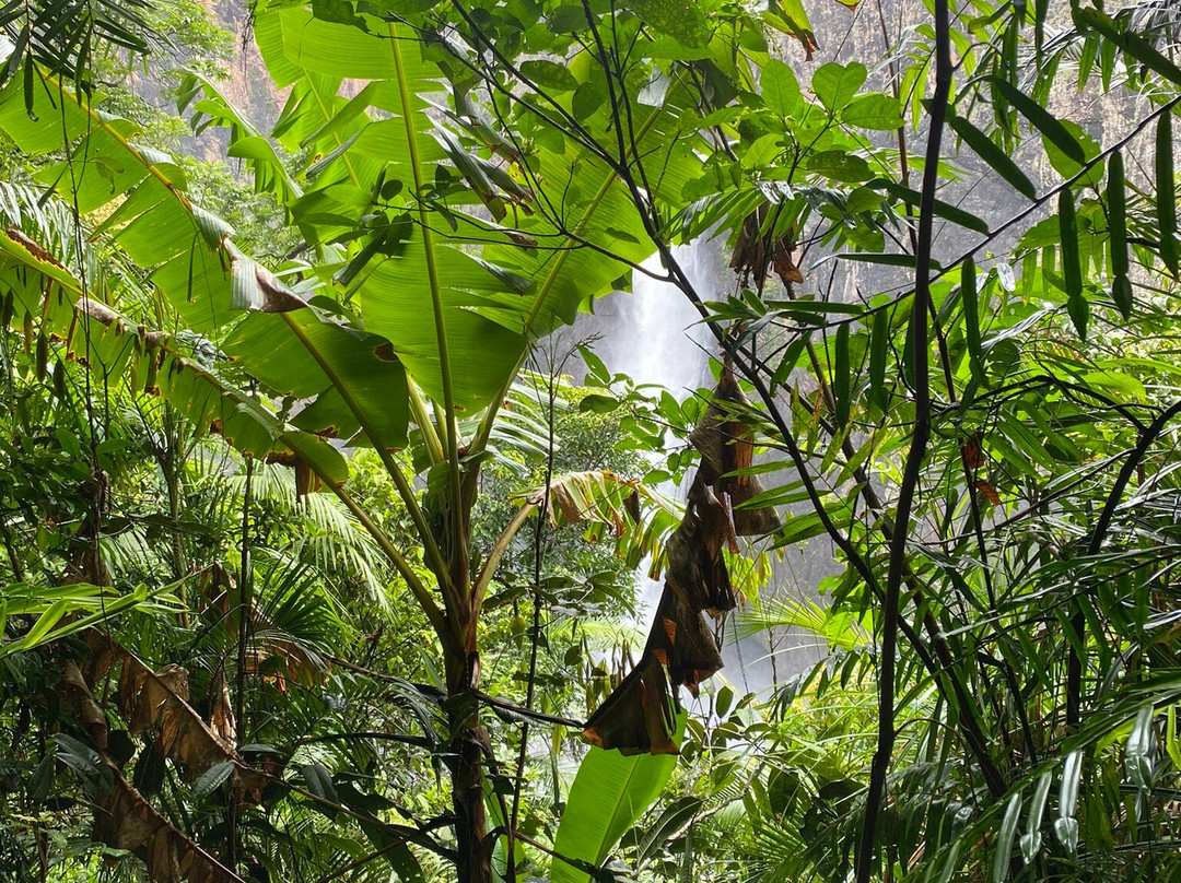 Wallaman Falls-Ingham必去景点