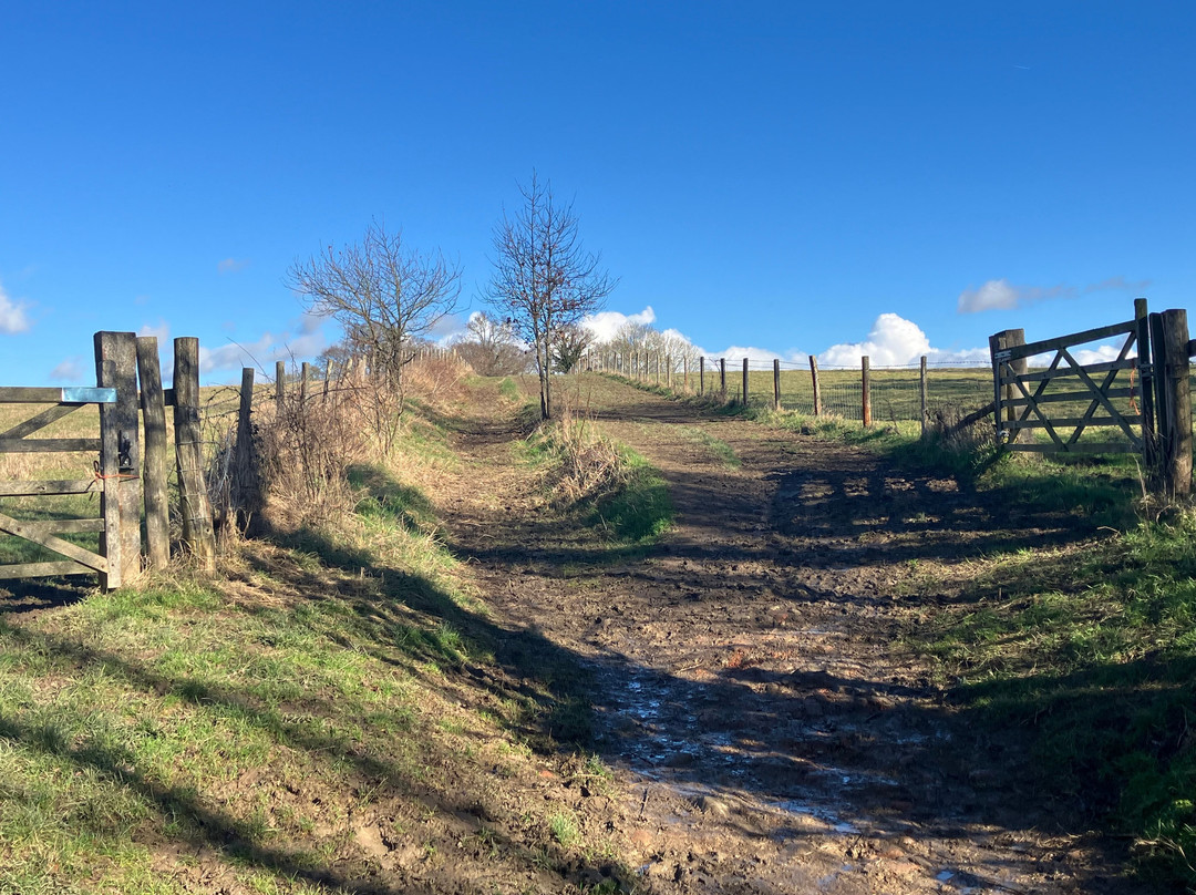 Sissinghurst Castle Estate Walking Trails景点图片