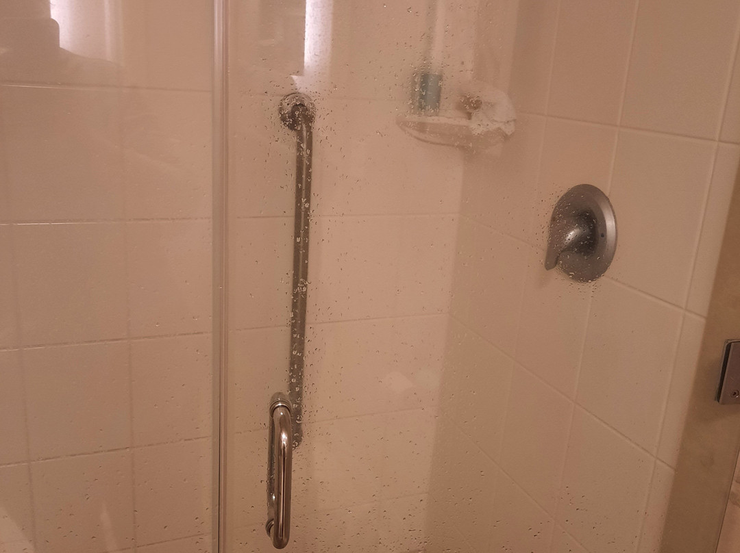 SpringHill Suites by Marriott New Bern主图