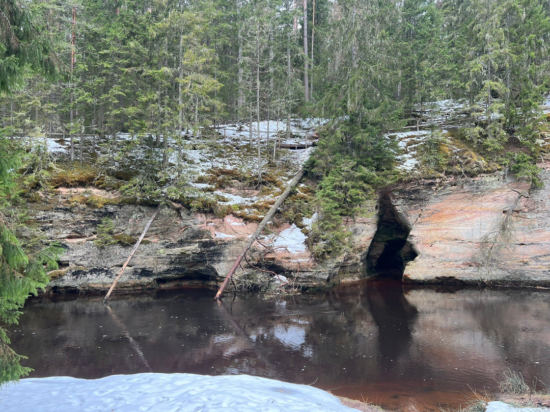 Taevaskoja Nature Trail-Polva必去景点