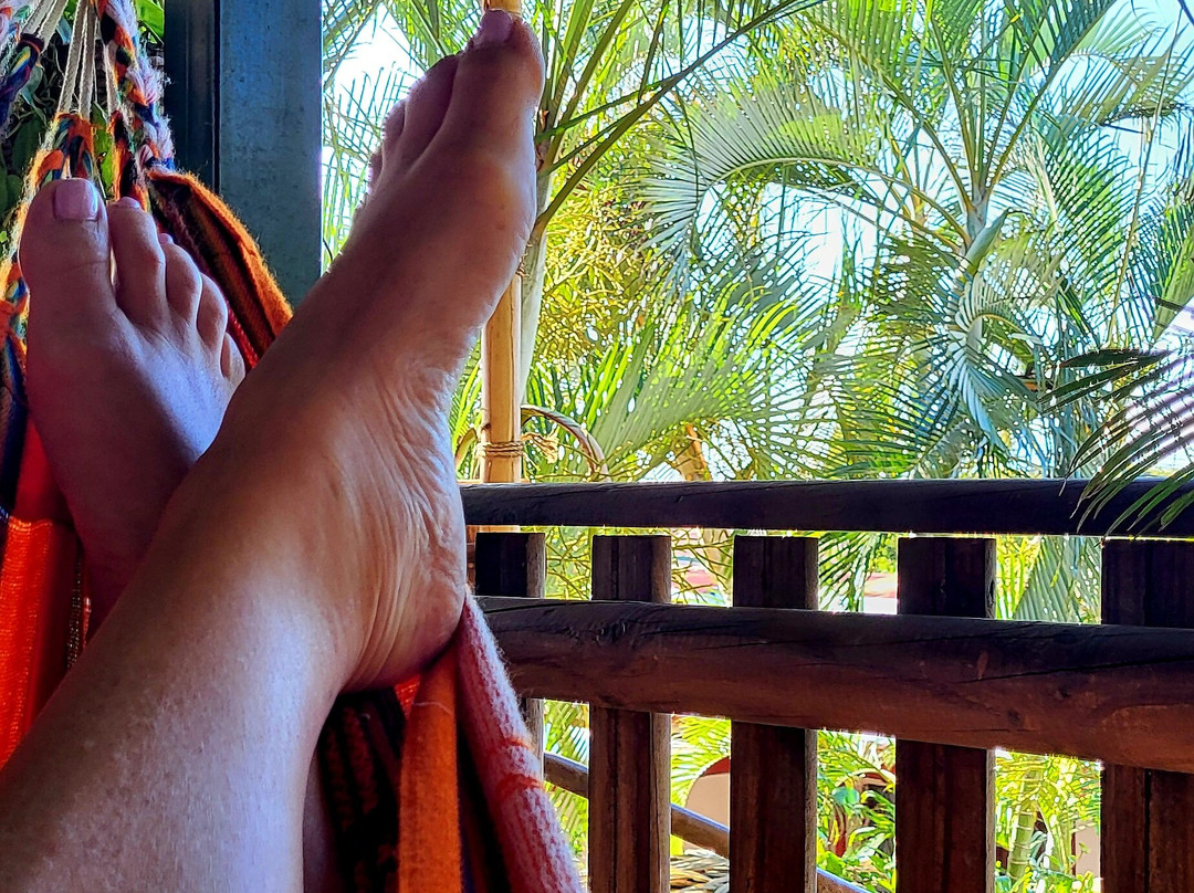 Posada Nena Santa Ana主图