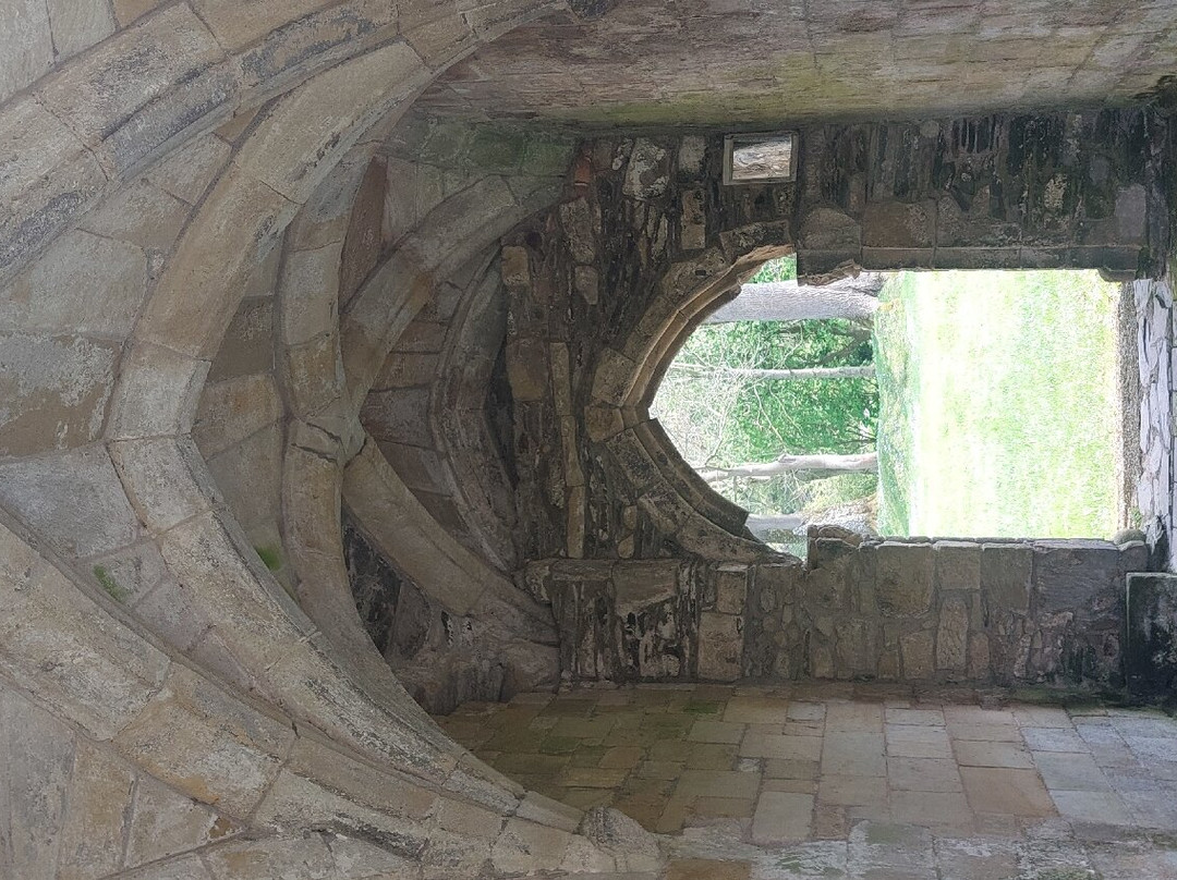 Valle Crucis Abbey景点图片