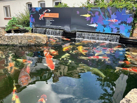 祖尔维恩斯泰吉酒店主图