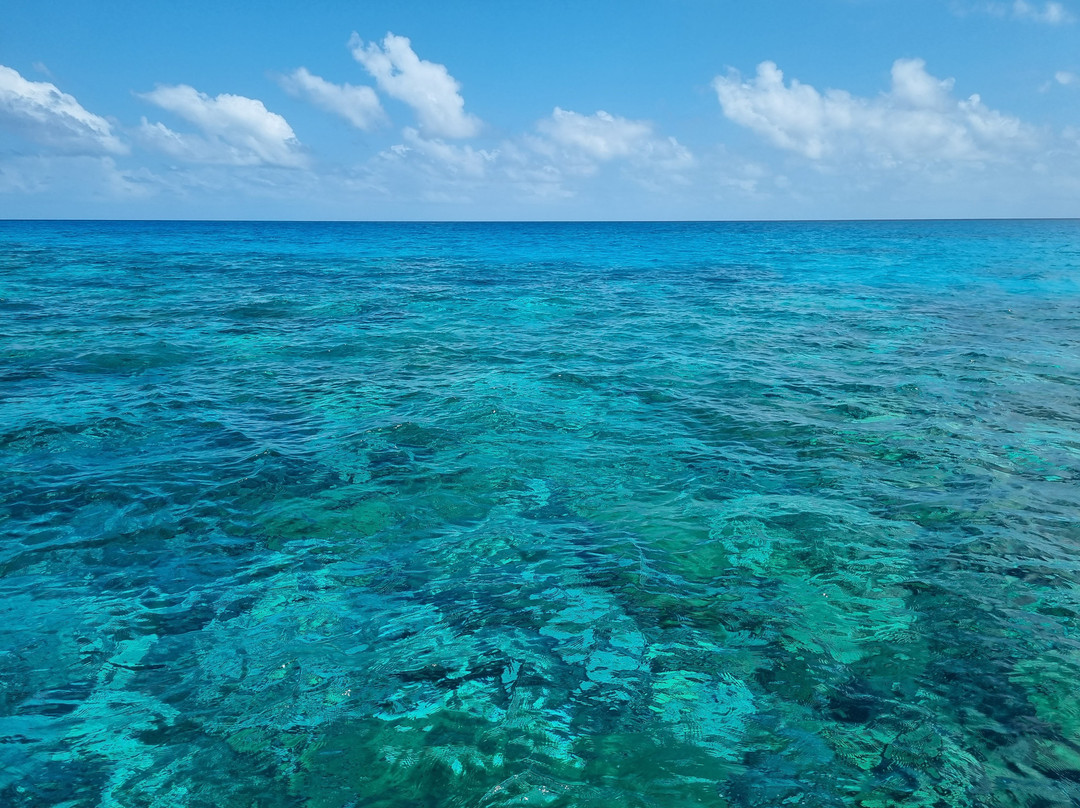 Other Divers at Huraa-呼拉岛必去景点