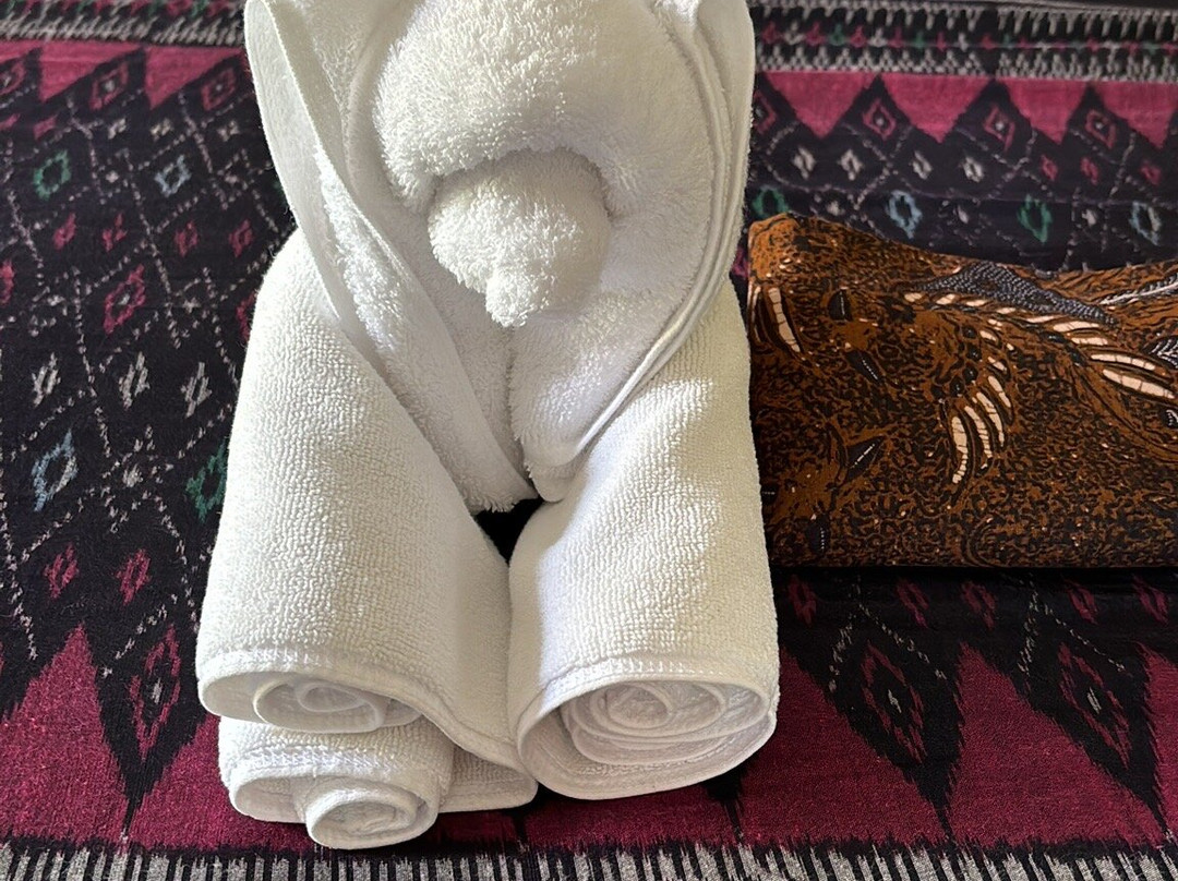 Bali Tridatu Vacations景点图片