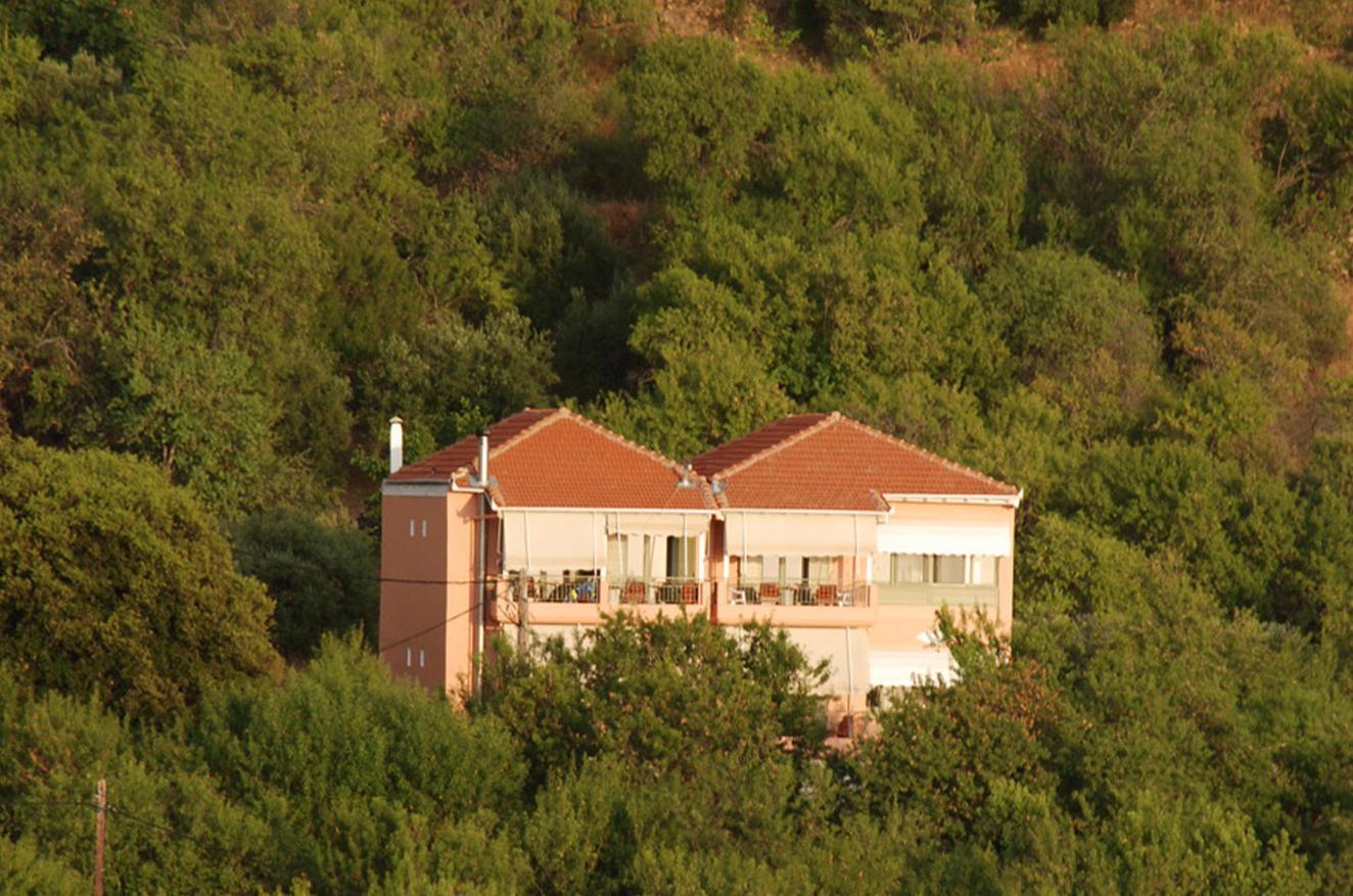 Nontas Home-官方