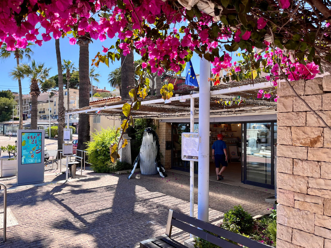 Office de Tourisme de Bandol