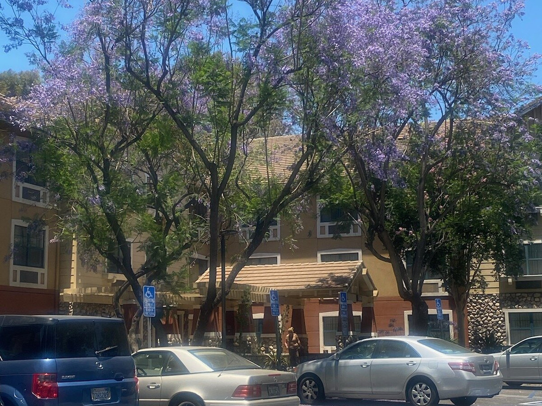 Extended Stay America Los Angeles - San Dimas主图