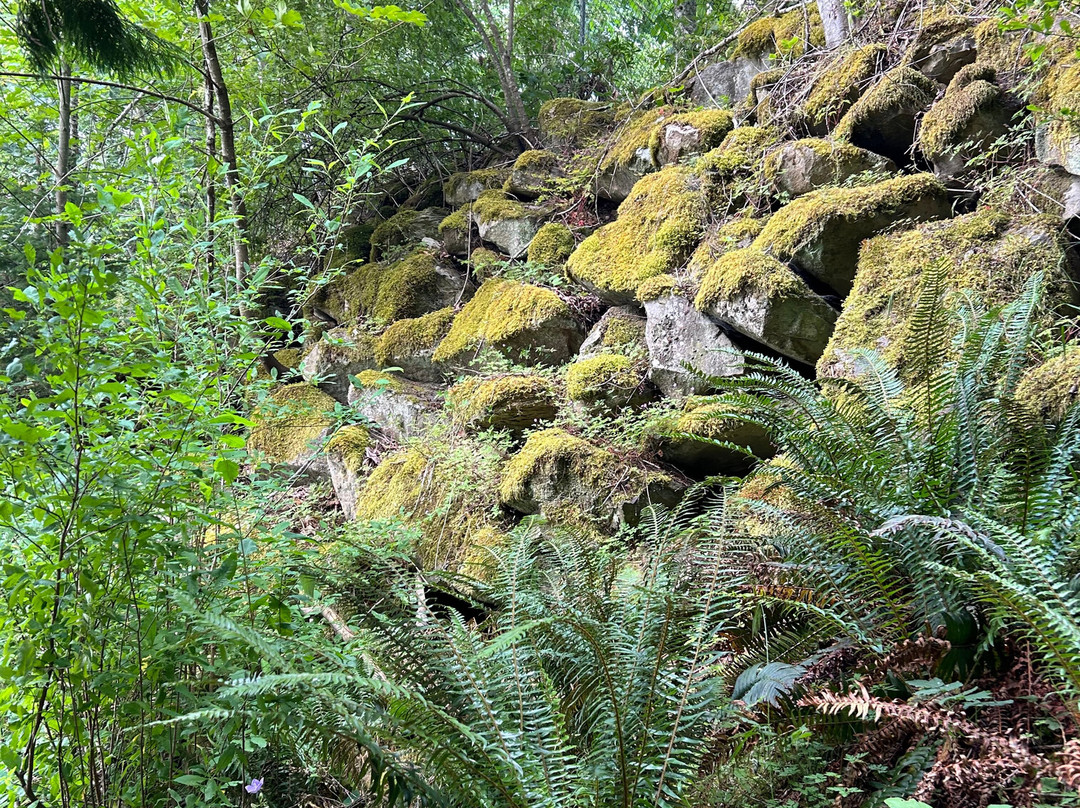 Petroglyph Provincial Park-纳奈莫必去景点