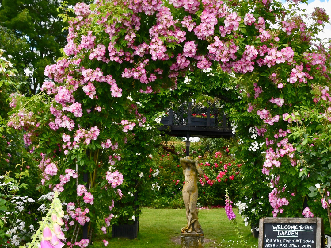 Peter Beales Roses景点图片