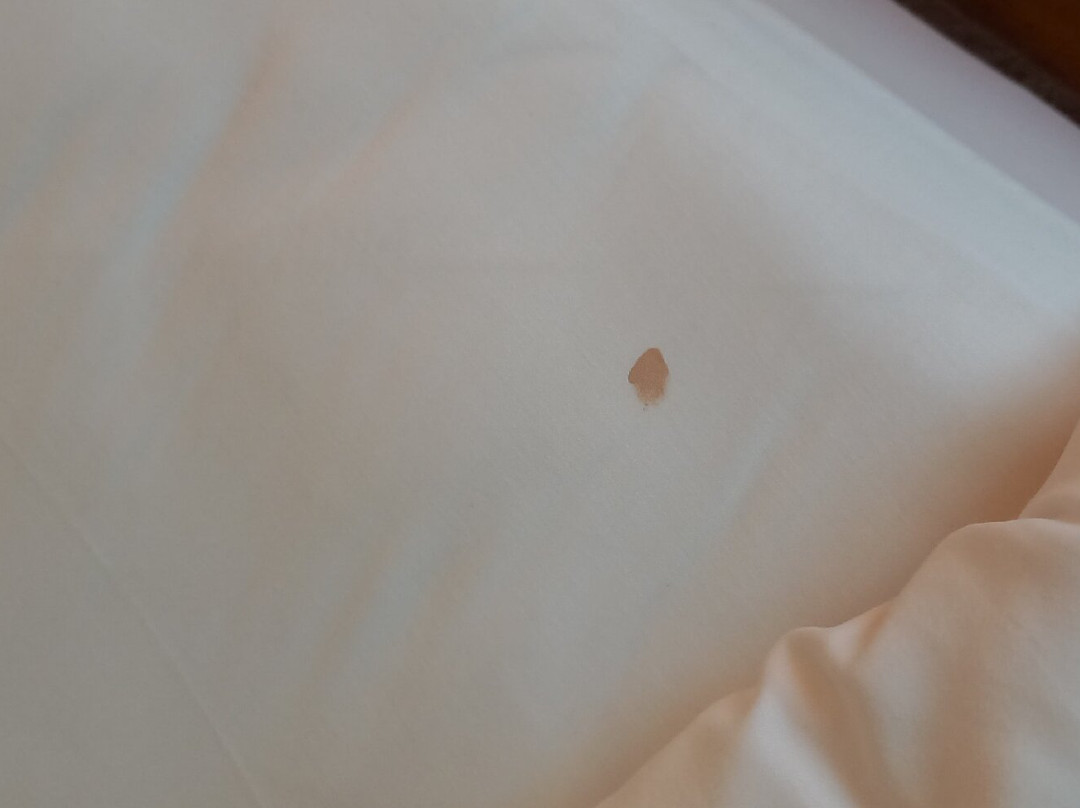 关丹勒捷尼酒店主图