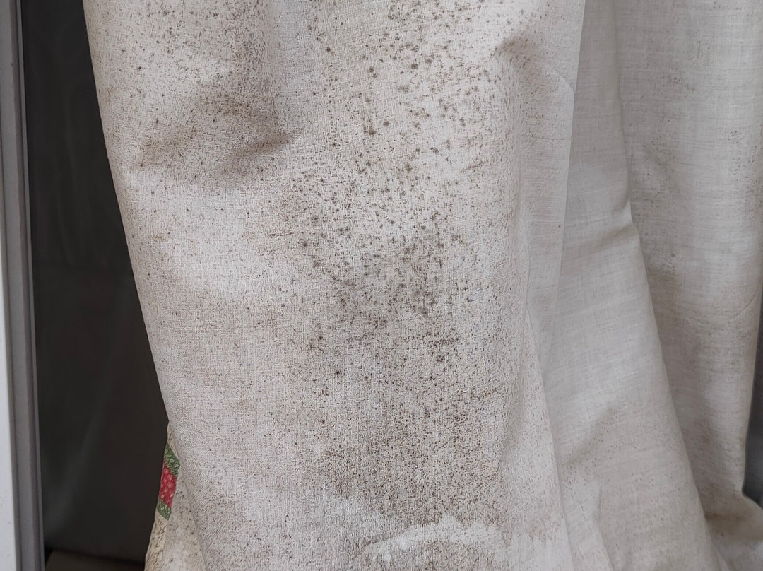 Hotel Boutique Pinar主图