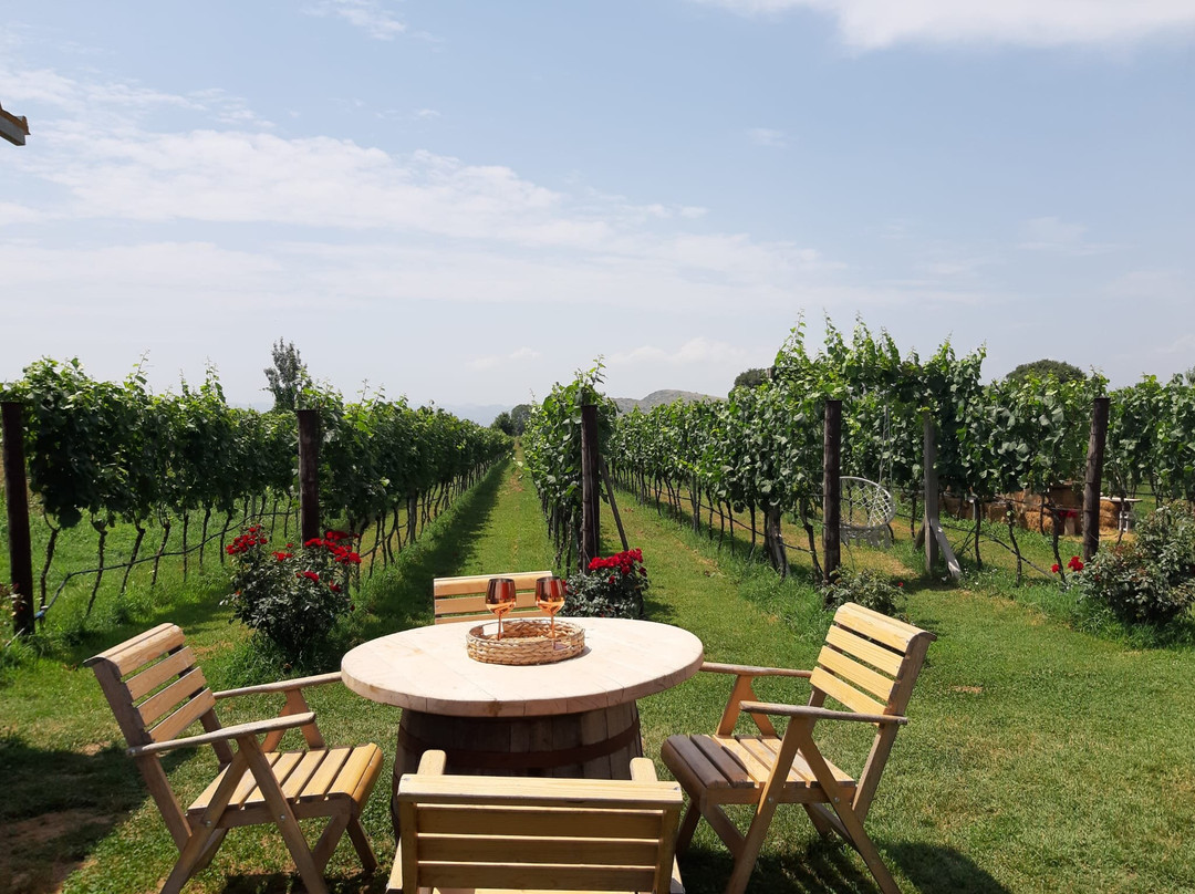 Monte Grande Winery-波德戈里察必去景点