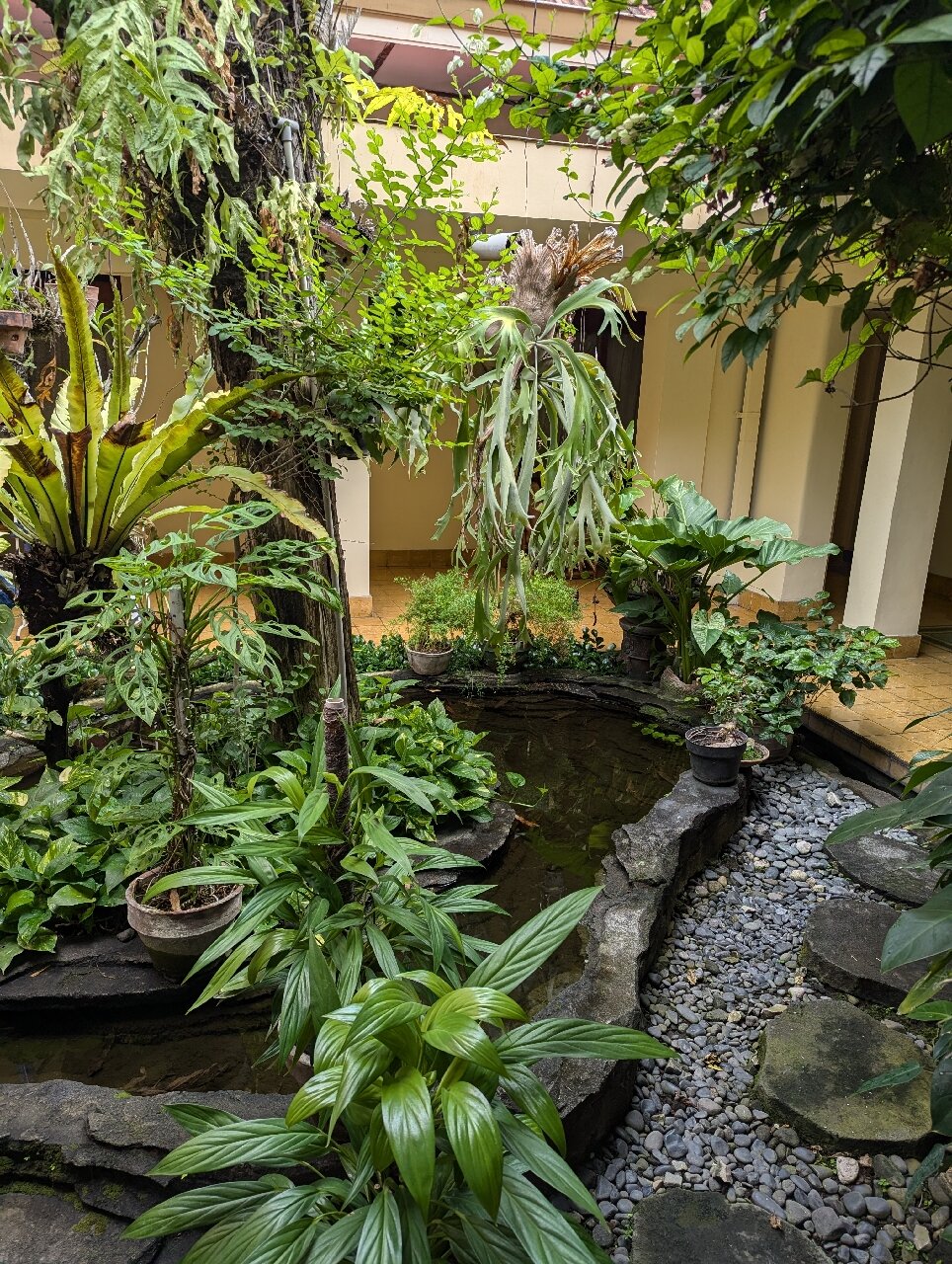 Duta Guest House-官方